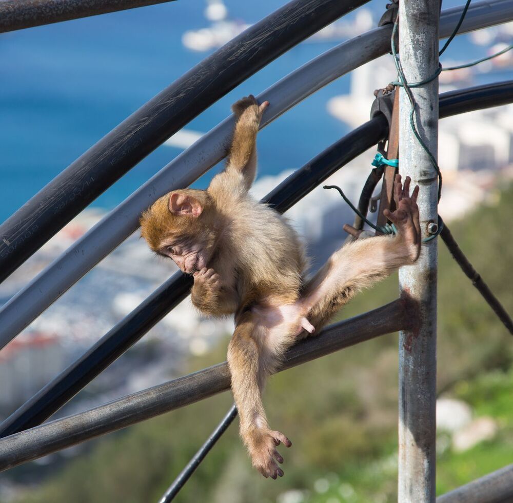 Gibraltar