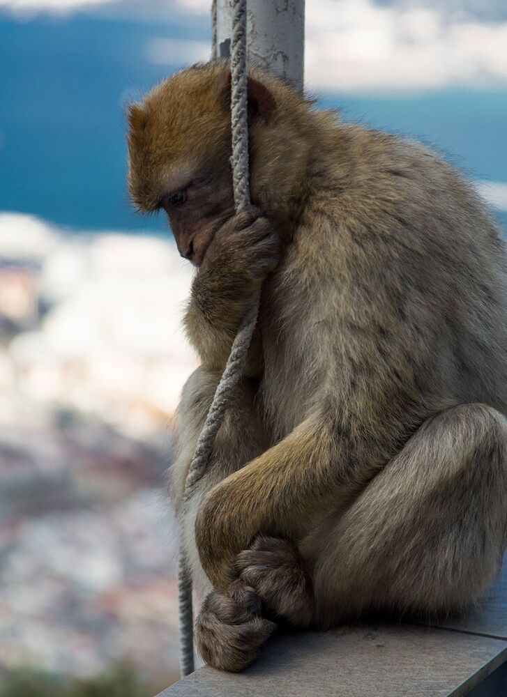 Gibraltar
