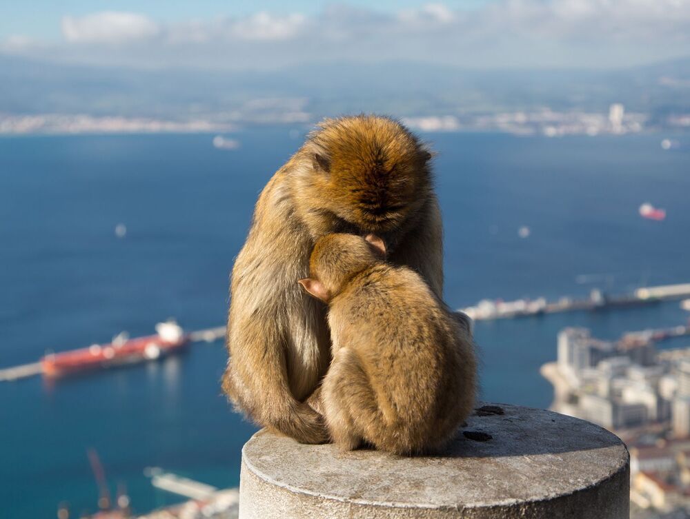 Gibraltar
