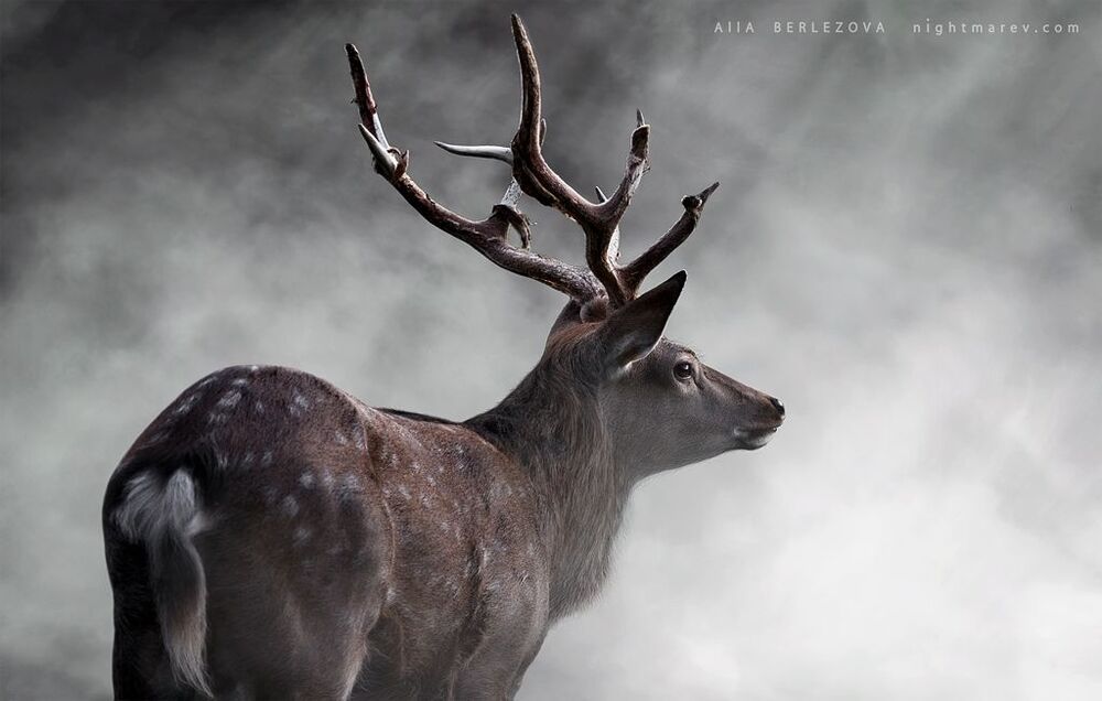 Photo 662867