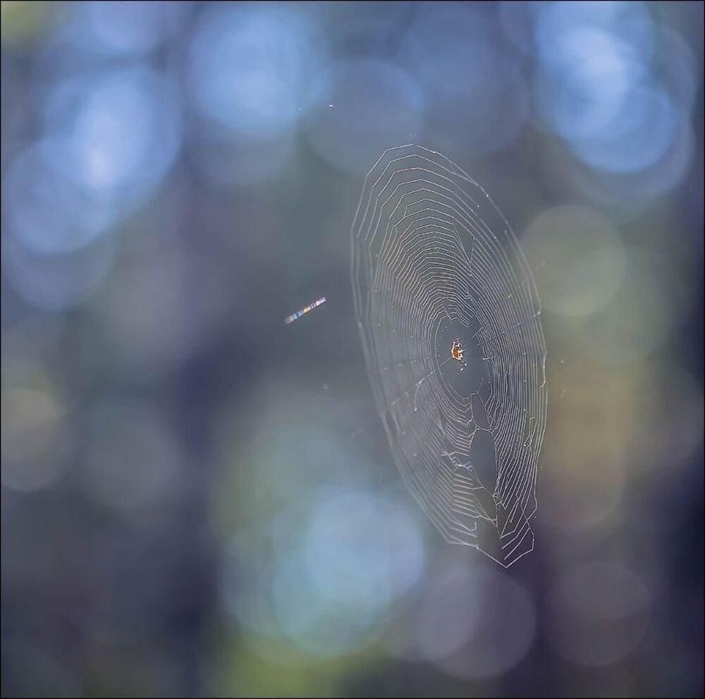 Photo 662884