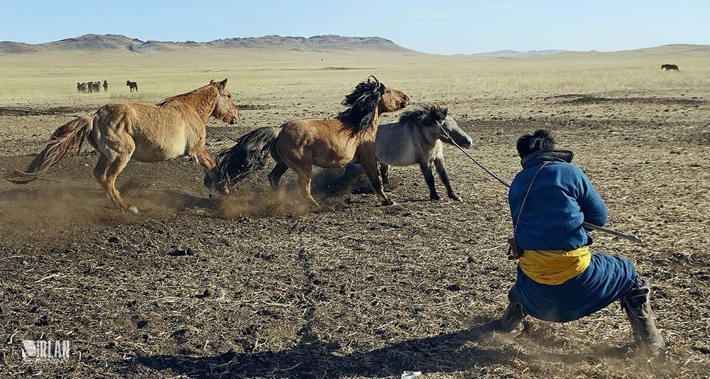 Mongolian horsemen