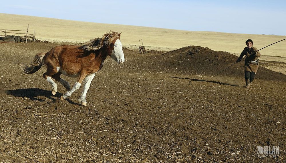 Mongolian horsemen
