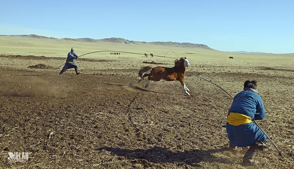 Mongolian horsemen