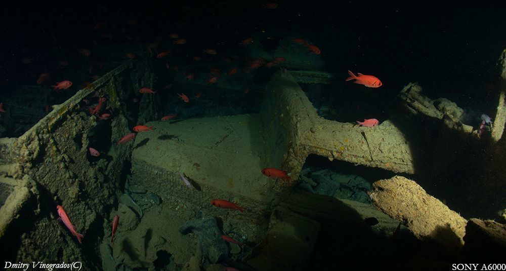 SS Thistlegorm