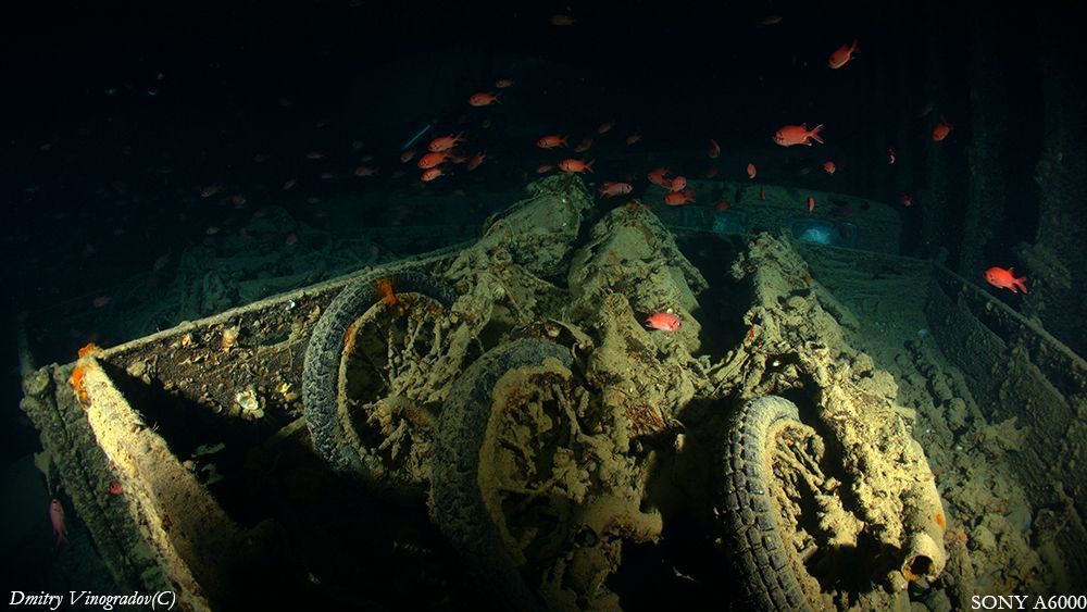 SS Thistlegorm