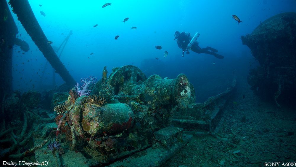 SS Thistlegorm