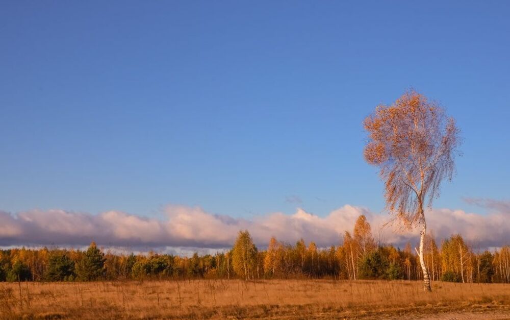 Отлетал тёплый день...