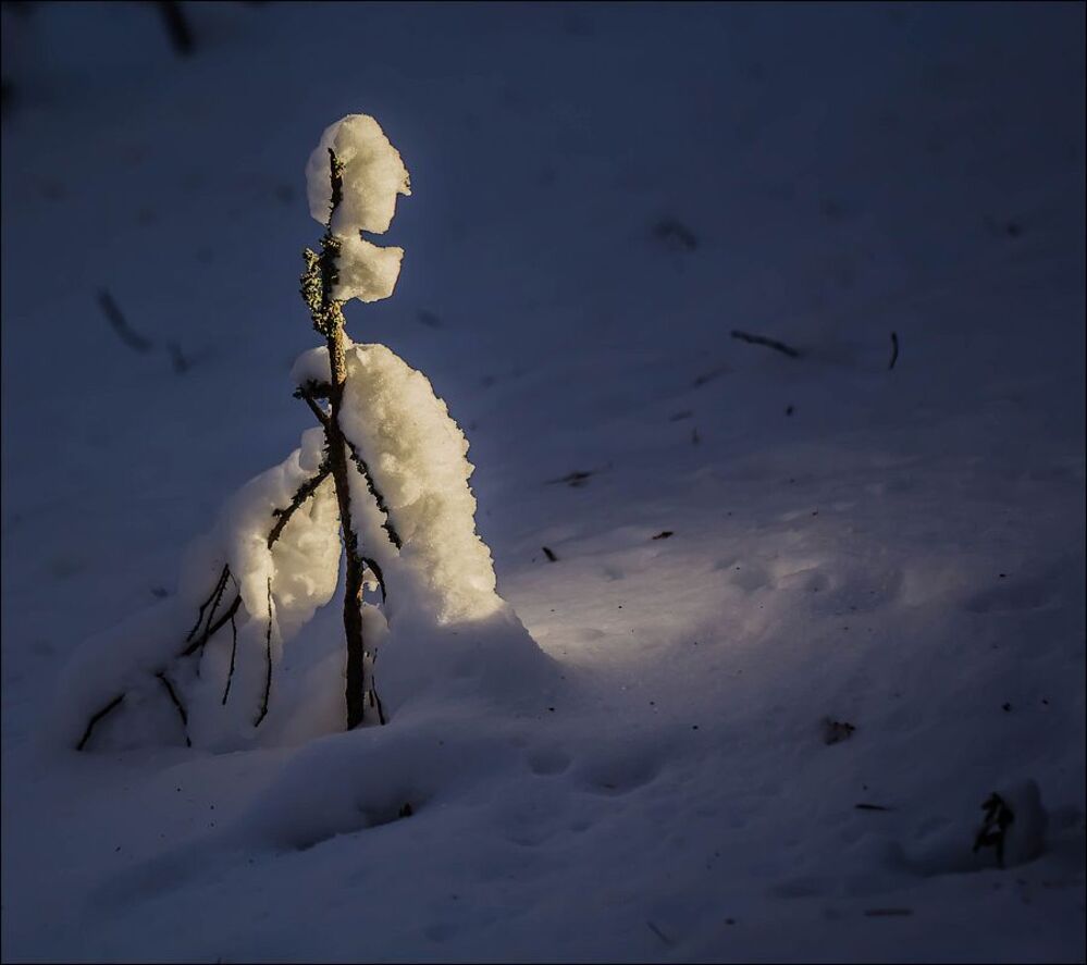 А завтра кончится зима))