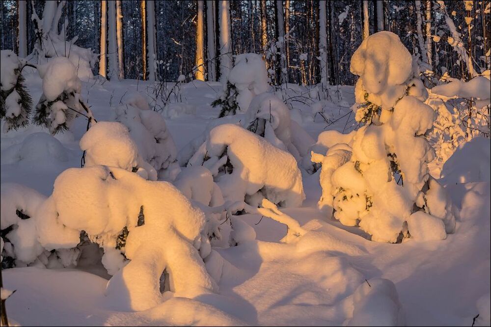 А завтра кончится зима))