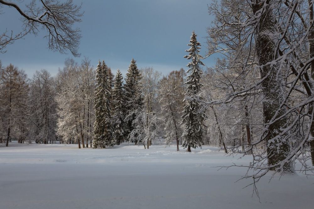 Александровский Парк