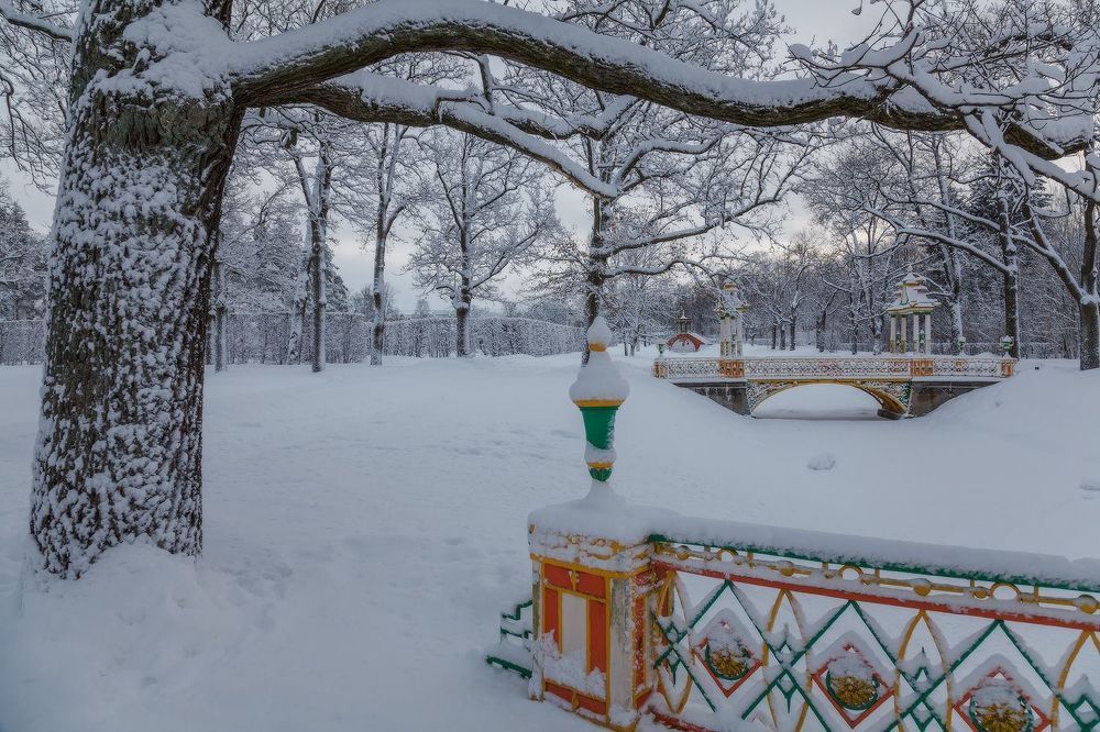 Александровский Парк