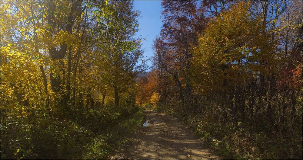 ещё раз об осени в Адыгее...