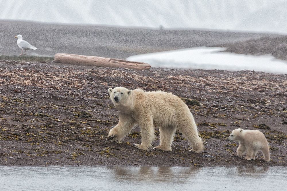 У воды.