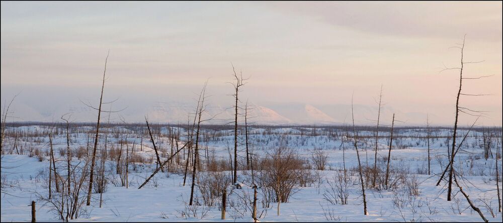 На пути к восходящему солнцу
