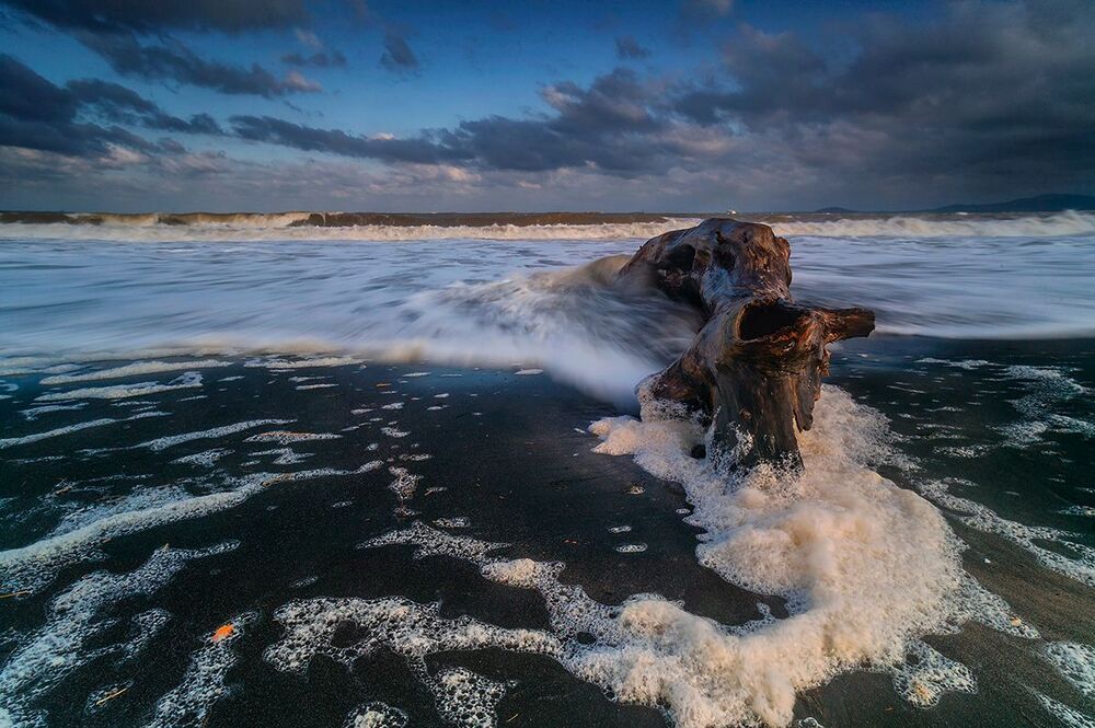 Морское существо