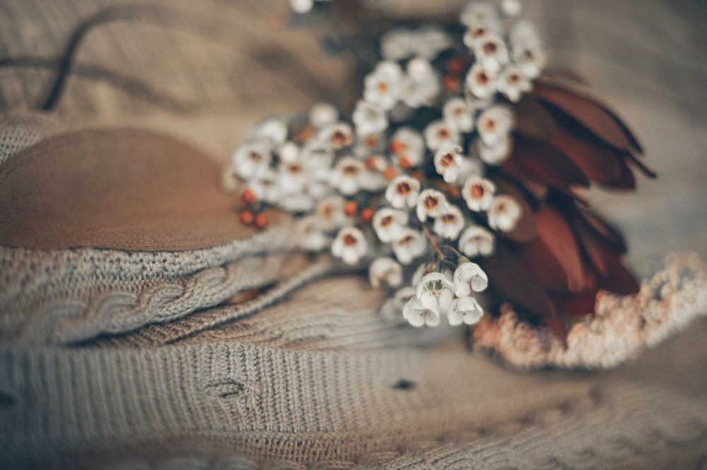 Photo 669339