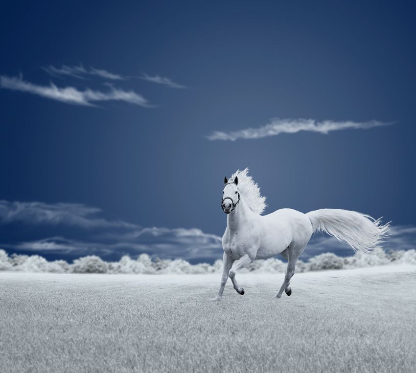 Running free