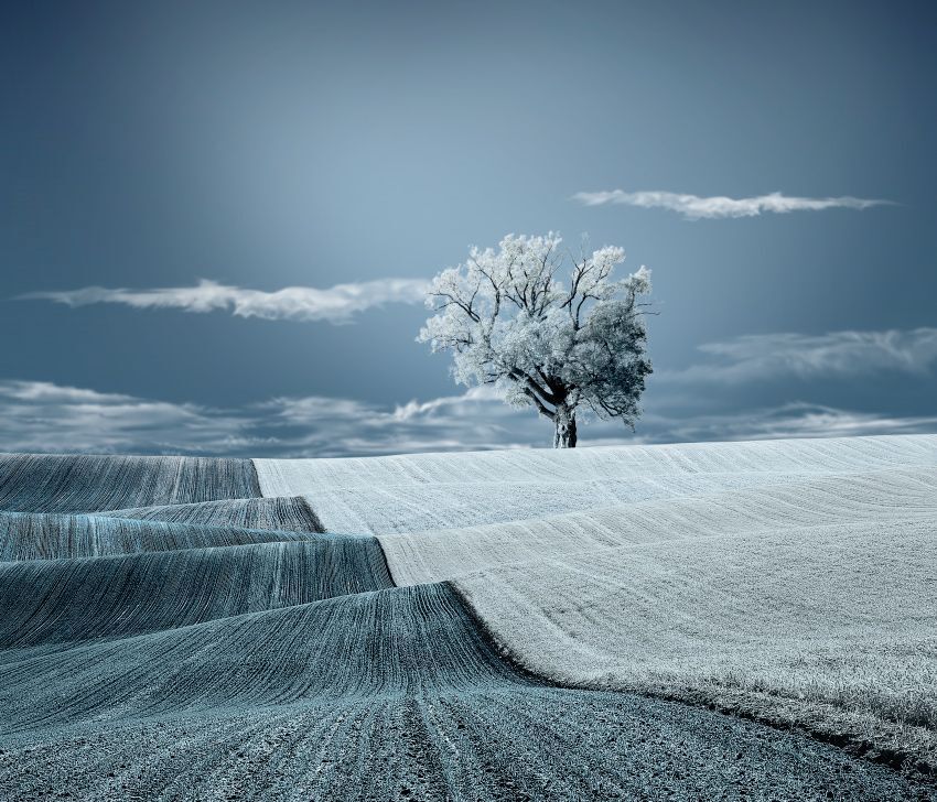 Warm blanket of nature