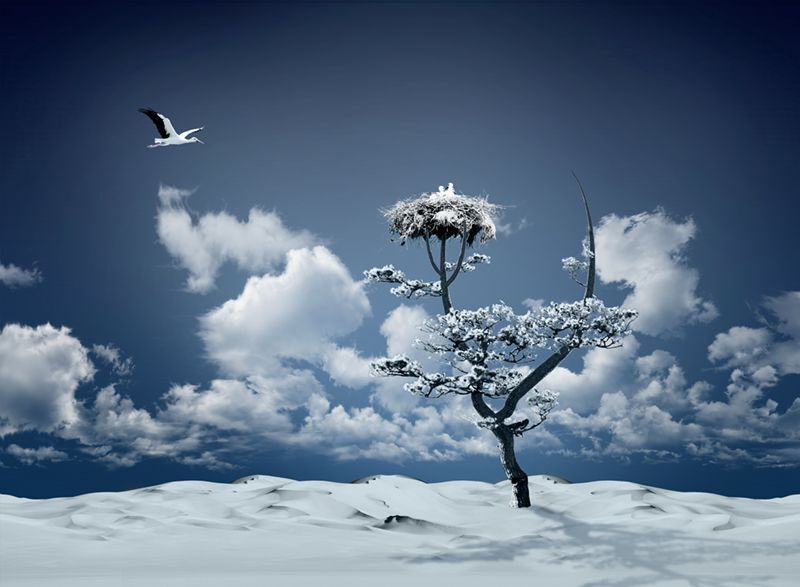 The last journey