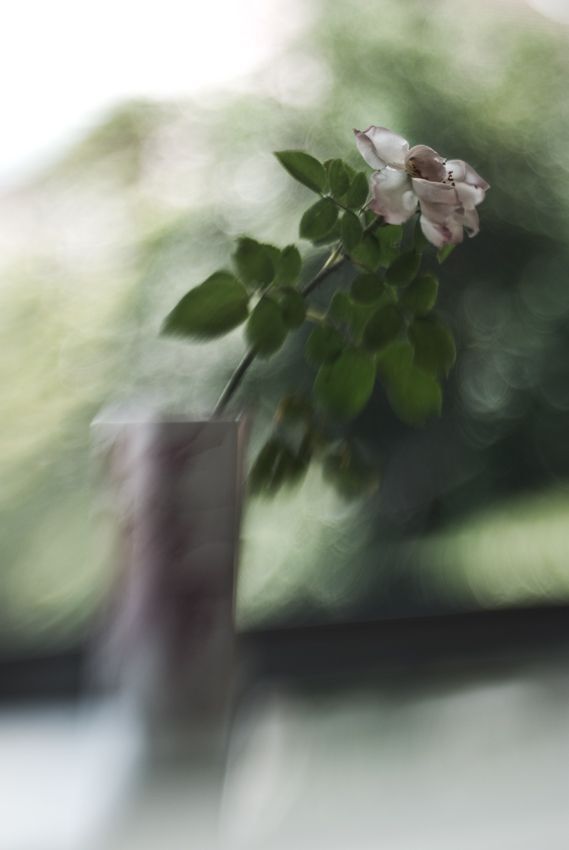 Photo 67548