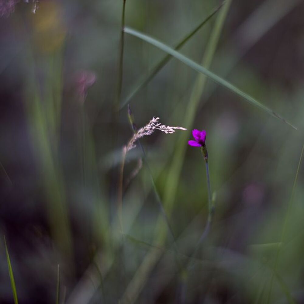 Photo 67953