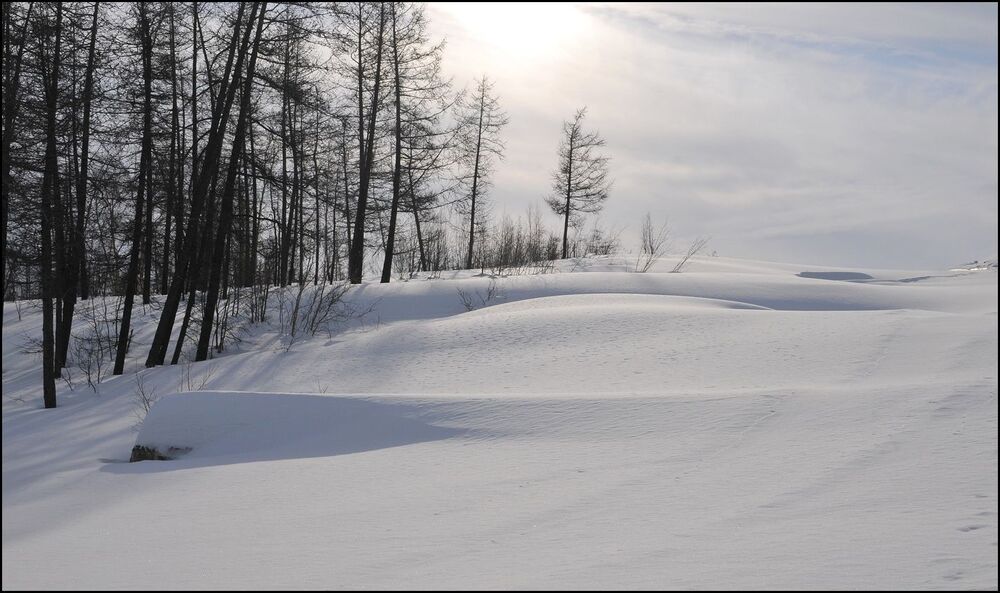 Воскресная прогулка