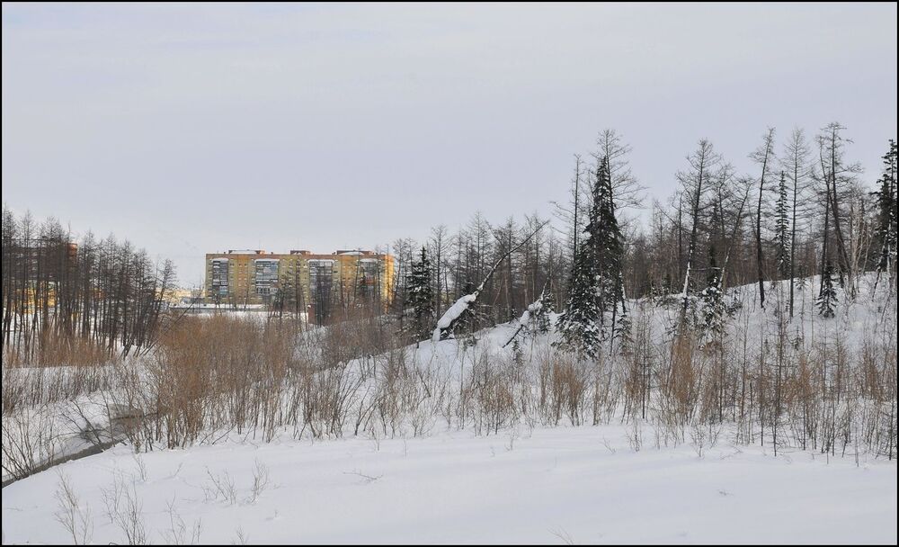 Воскресная прогулка