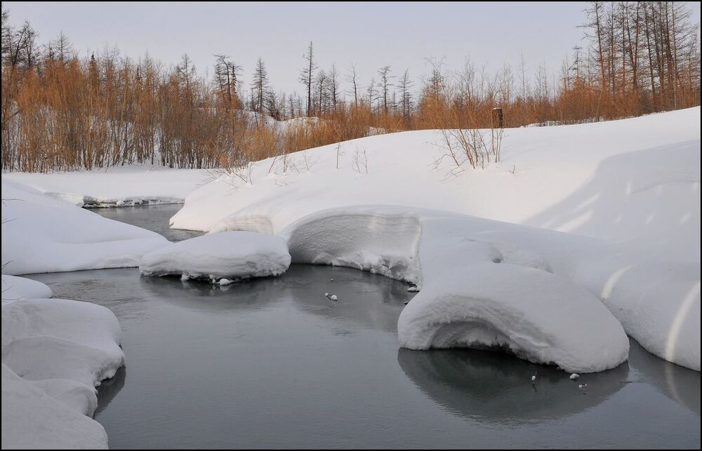 Воскресная прогулка