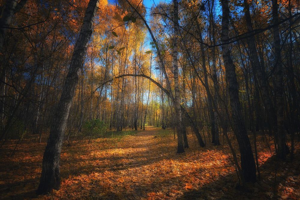 Осенние зарисовки
