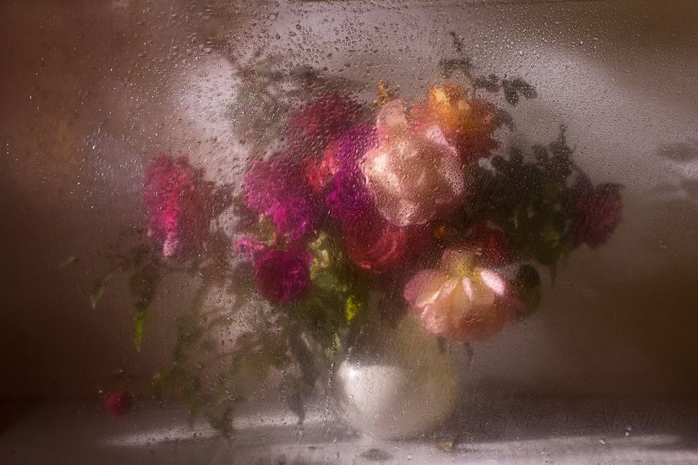 Photo 673911