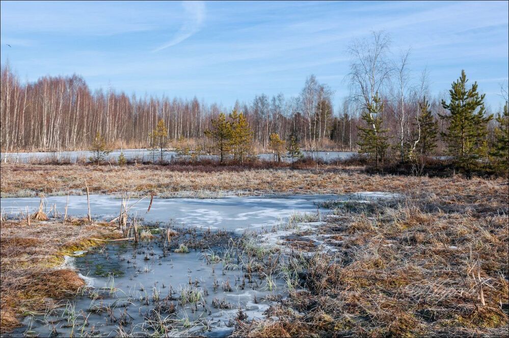 Десять слов об одном апрельском деньке.