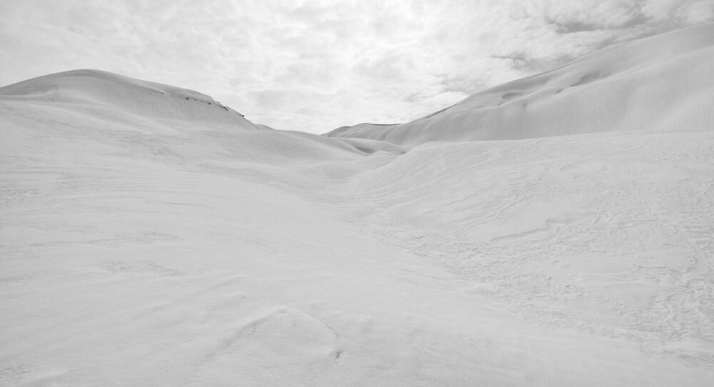White & White