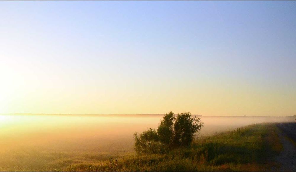 Маленький рай