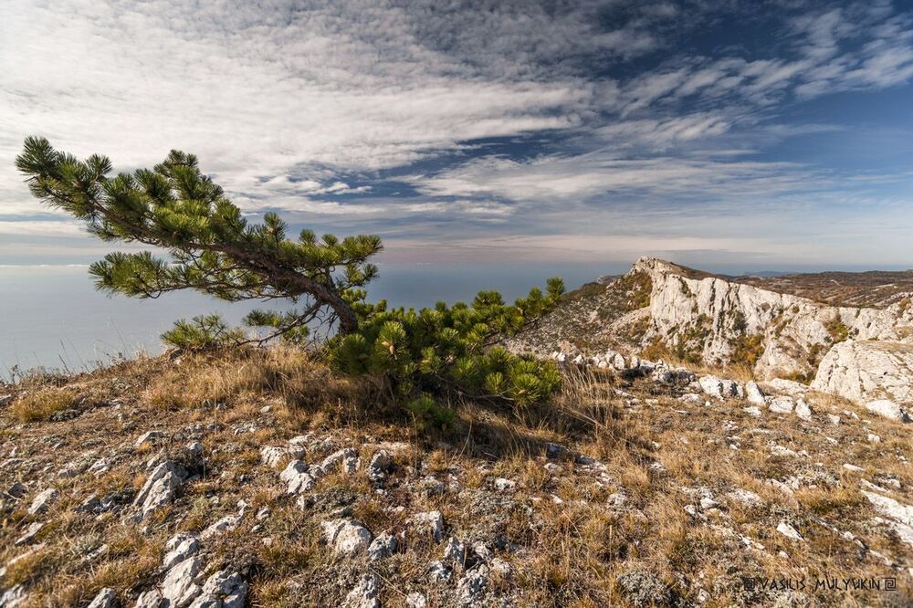 Крым ... прогулки по плато ...