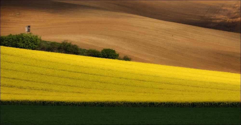 / Весна в Южной Чехии /