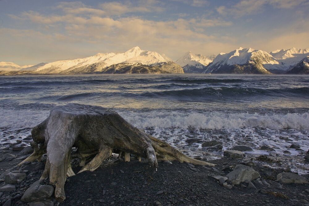 Resurrection Bay, Alaska. Зима, лед, холод.