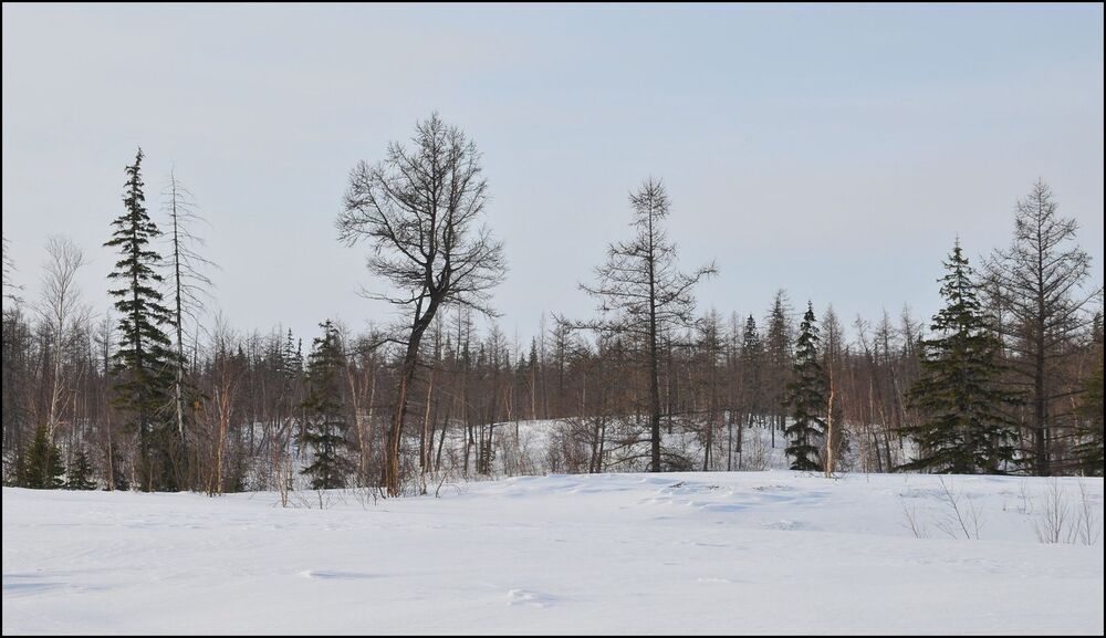 Весеннее настроение