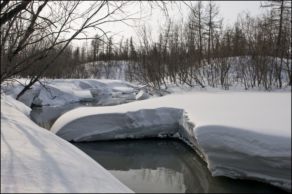 Весеннее настроение
