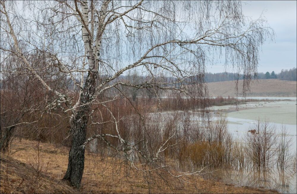 Нежное утро