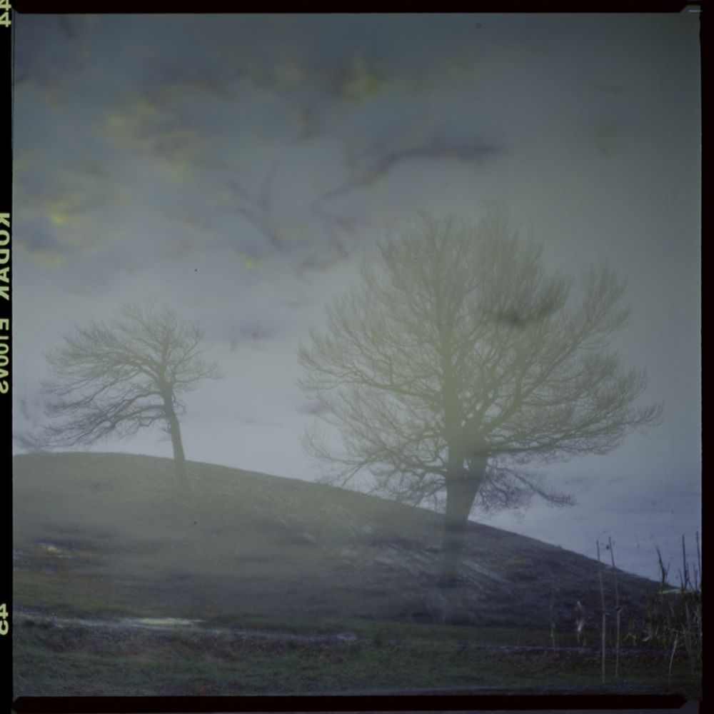Photo 68995