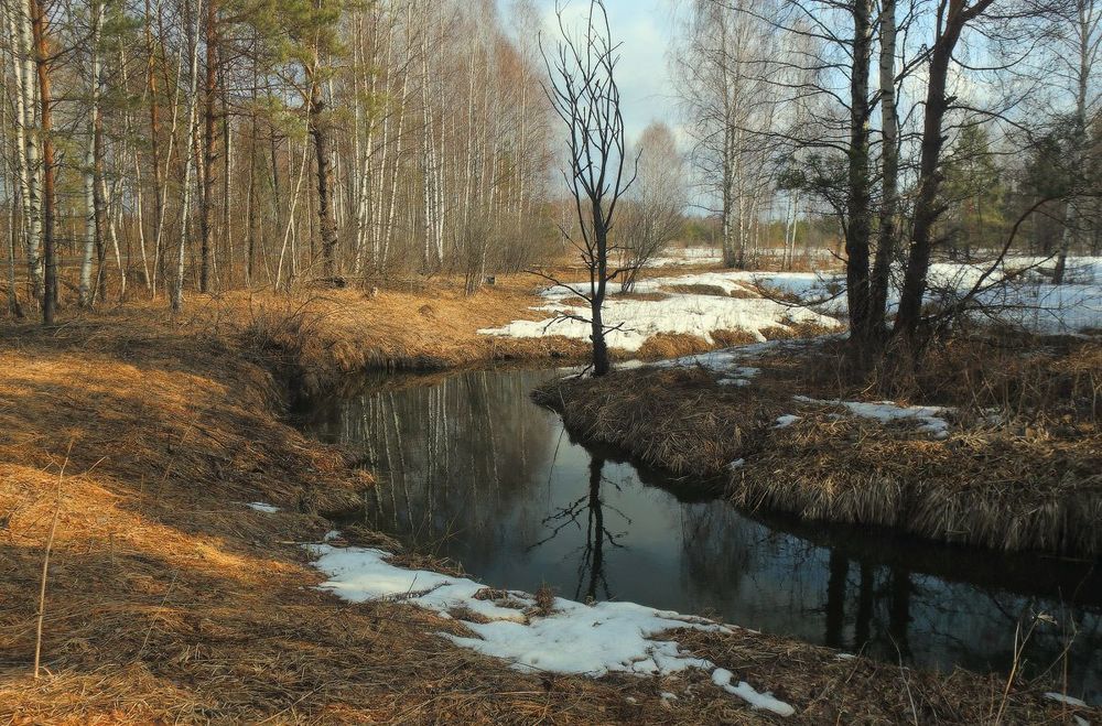 Весенние зарисовки