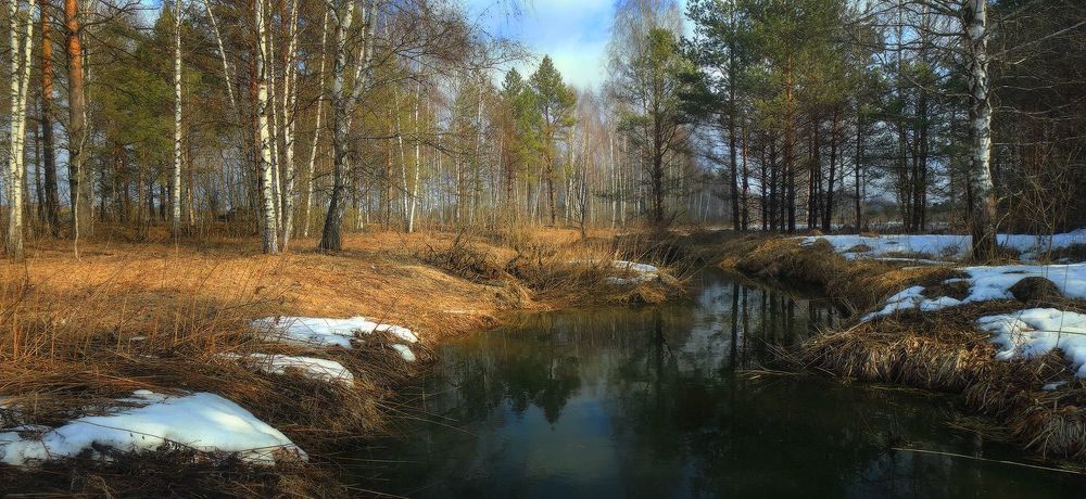 Весенние зарисовки