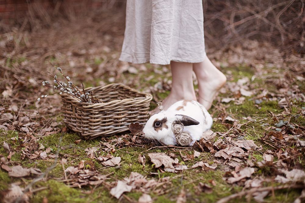 Happy easter!
