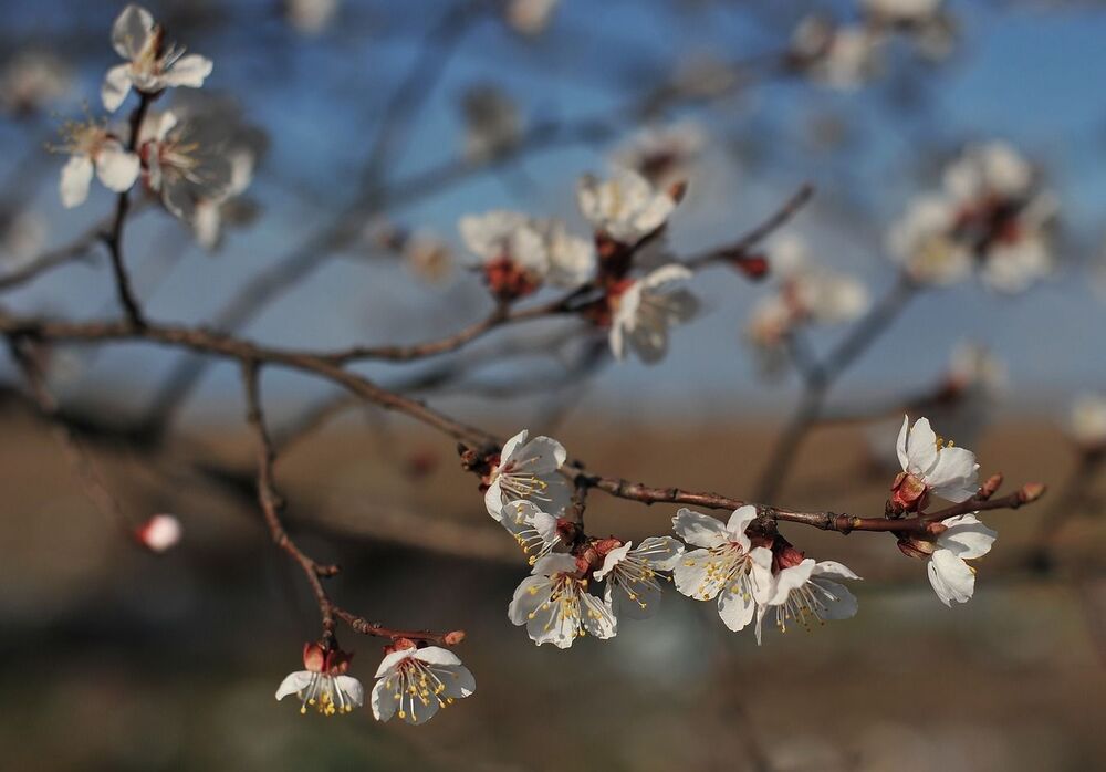 Photo 685368