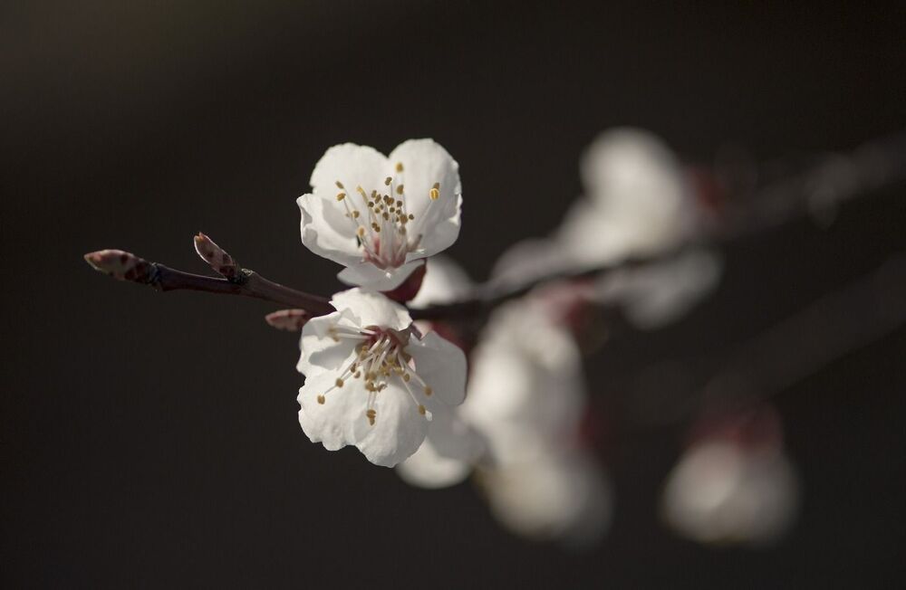 Photo 685371