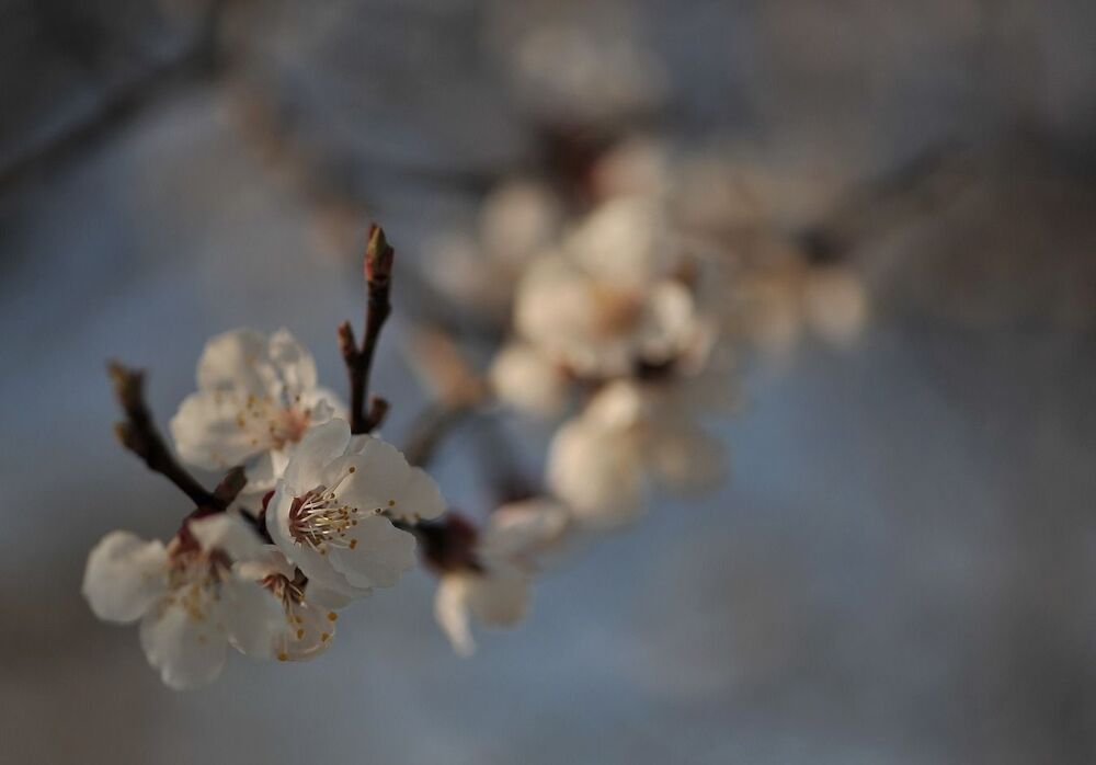 Photo 685372