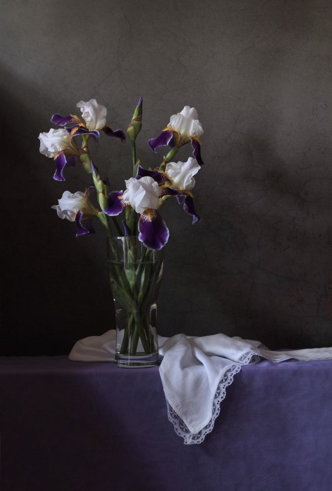 Ирисы