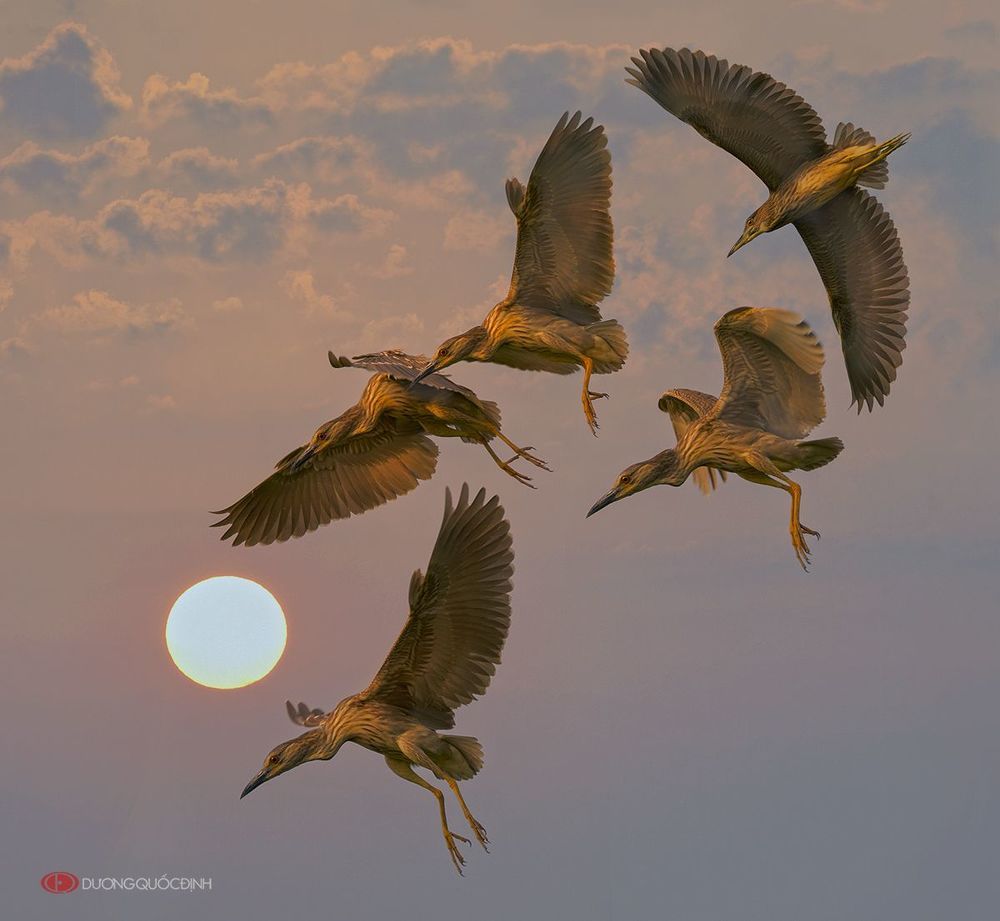 Nature