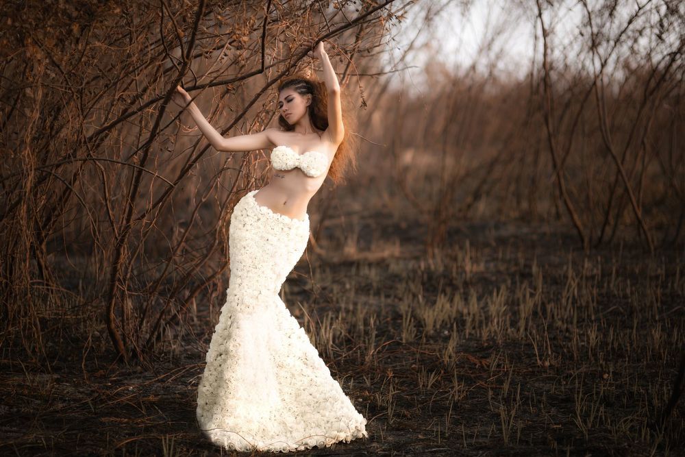 The Walker Photography